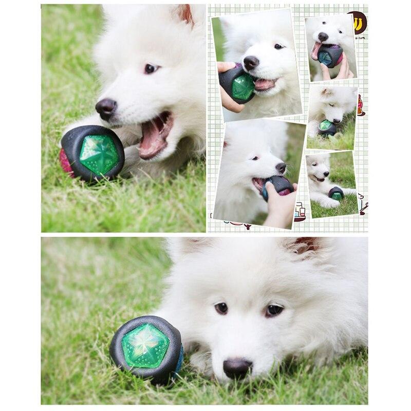 PETZZ - Glow in the Dark Stuiterbal - Prachtig Speelgoed voor Honden