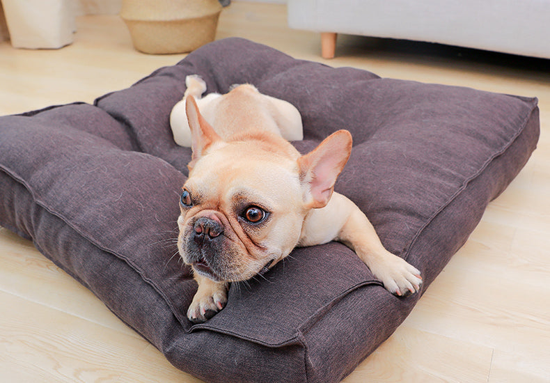 Hoopet Honden Ligzak - Heerlijk Slapen en Relax - Hondenhoek