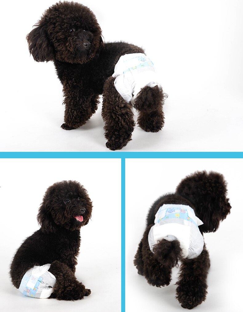 PETZZ Wegwerp Luiers voor Honden - Hulp bij Ongelukjes - Hondenhoek