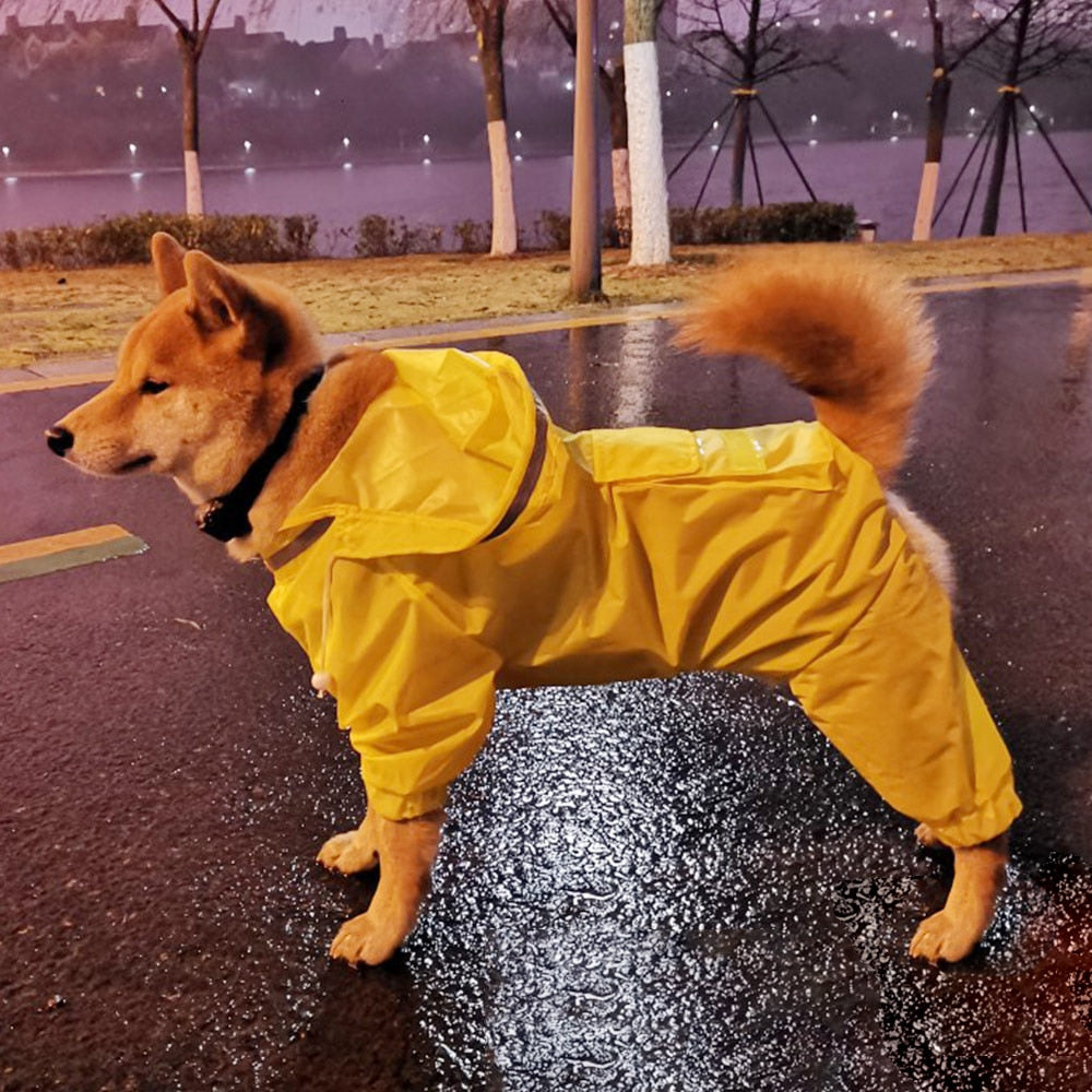 Luxe Regenjas voor Grotere Honden - Droog Over Straat - Hondenhoek
