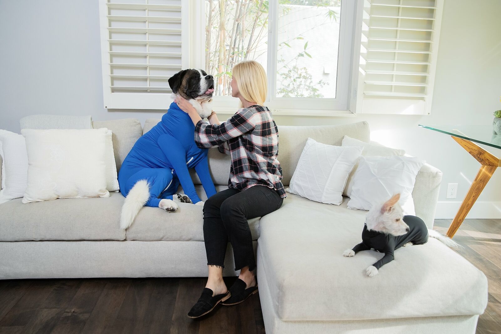 PETZZ Beschermende herstel onesie - Voor honden na operaties - WOEF