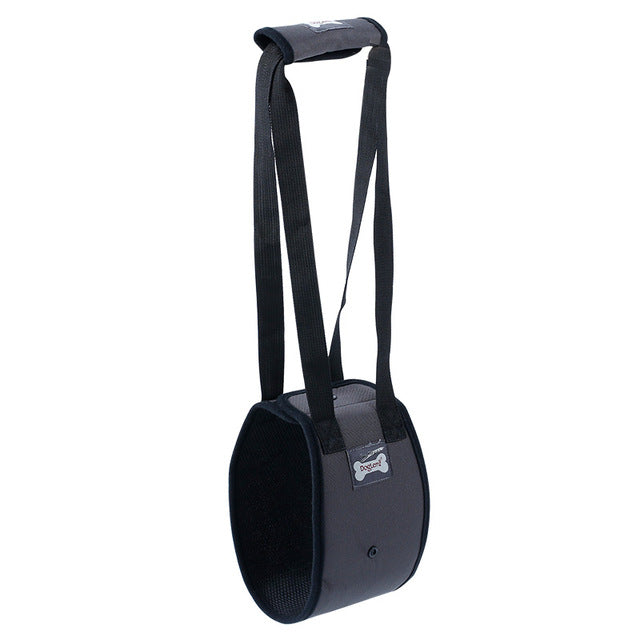 PETZZ Ondersteunende buikband - Wandelen met Seniore Honden - WOEF