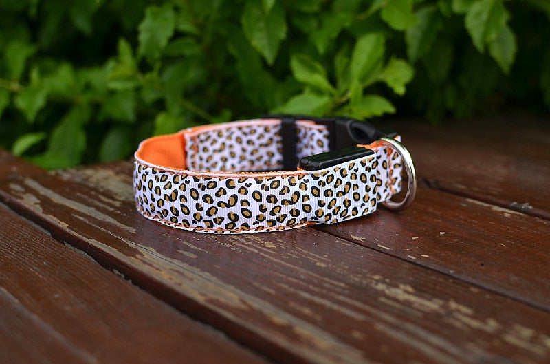 PETZZ Glow In The Dark Luipaard Halsband - Veilig op pad - Hondenhoek