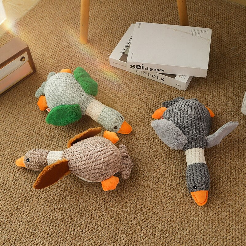 HOOPET Piepende Eenden Speeltje - Koop hondenspeelgoed online - WOEF