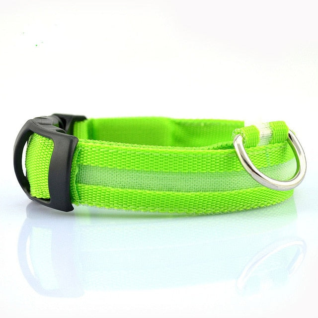 Glow In The Dark Halsband - Halsbanden voor honden - Hondenhoek