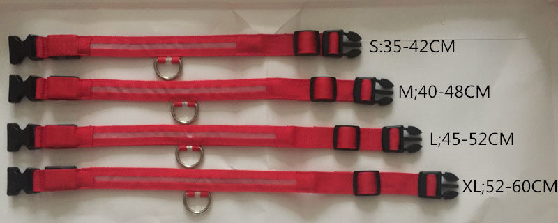 Glow In The Dark Halsband - Halsbanden voor honden - Hondenhoek