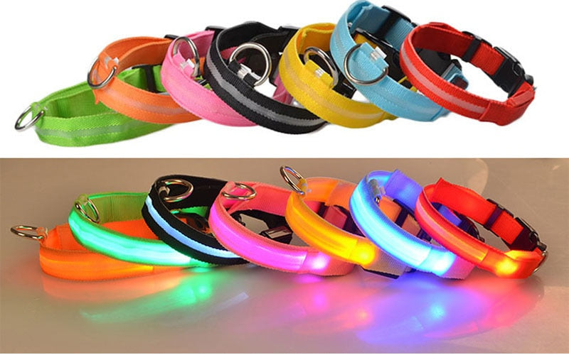 Glow In The Dark Halsband - Halsbanden voor honden - Hondenhoek