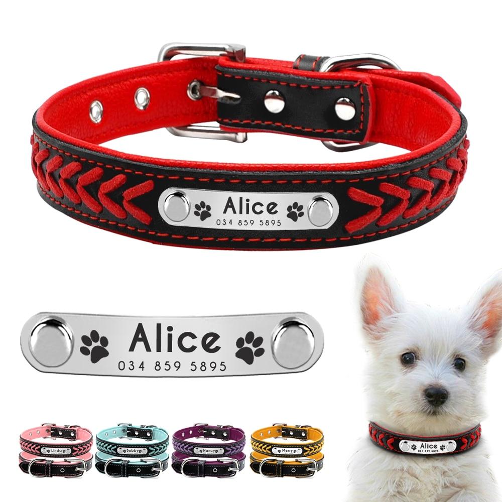 PETZZ Trendy Halsband - Voor Hippe Honden - Hondenhoek