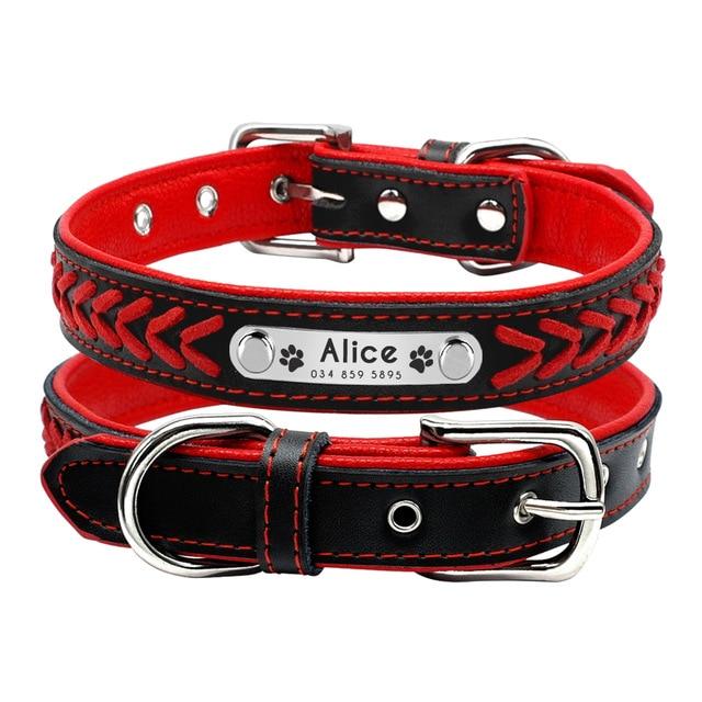 PETZZ Trendy Halsband - Voor Hippe Honden - Hondenhoek
