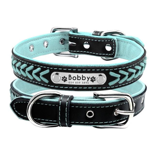 PETZZ Trendy Halsband - Voor Hippe Honden - Hondenhoek