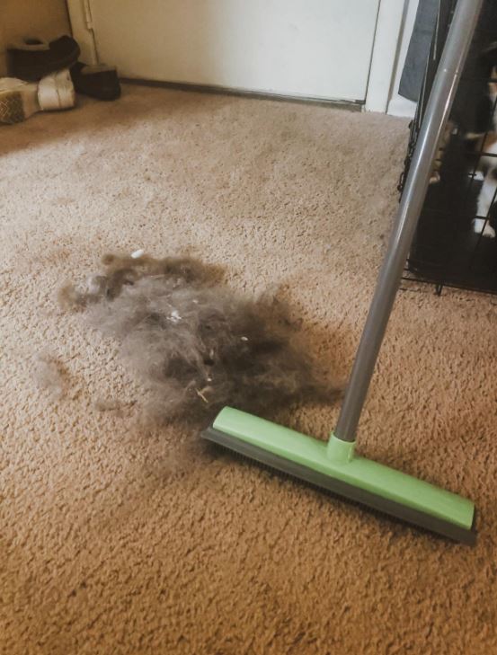 Wet 'n Dry Sweeper Pro - In één Handomdraai Haren en Vuil WEG! - WOEF