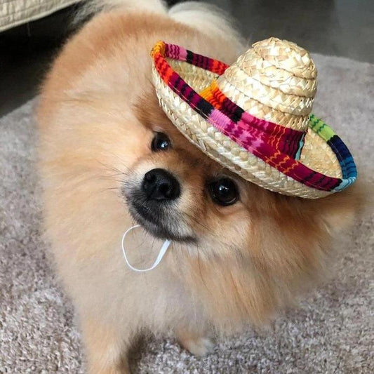 Cowboyzz™ Sombrero voor Honden