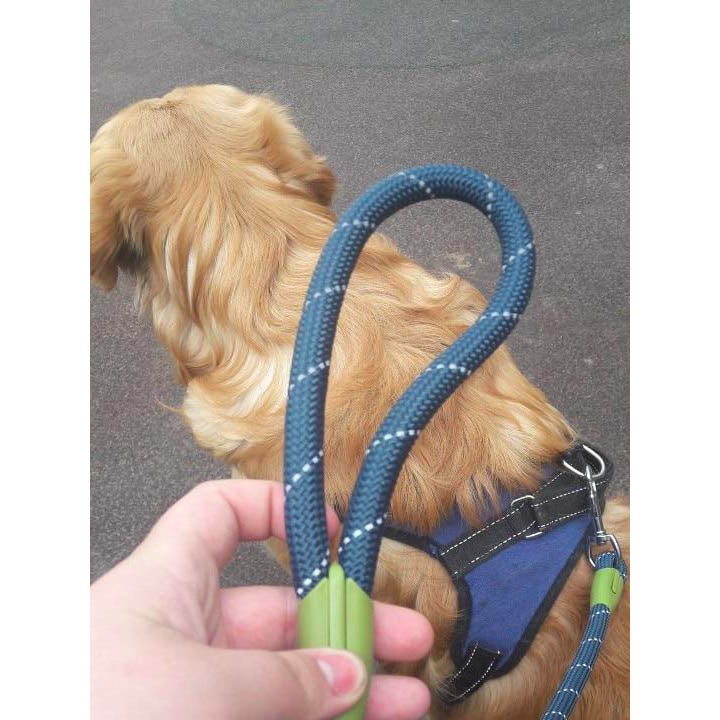 woef riem lijn leiband reflecterend honden kopen